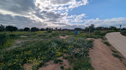 Foto 4 von Grundstücke zum Verkauf in Pasaje Los Barberos, 8, La Aljorra, Cartagena