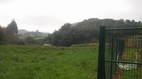 FINCA EDIFICABLE EN CAMPANAL PERLORA LLANA EN NUCLEO RURAL., imatge 3