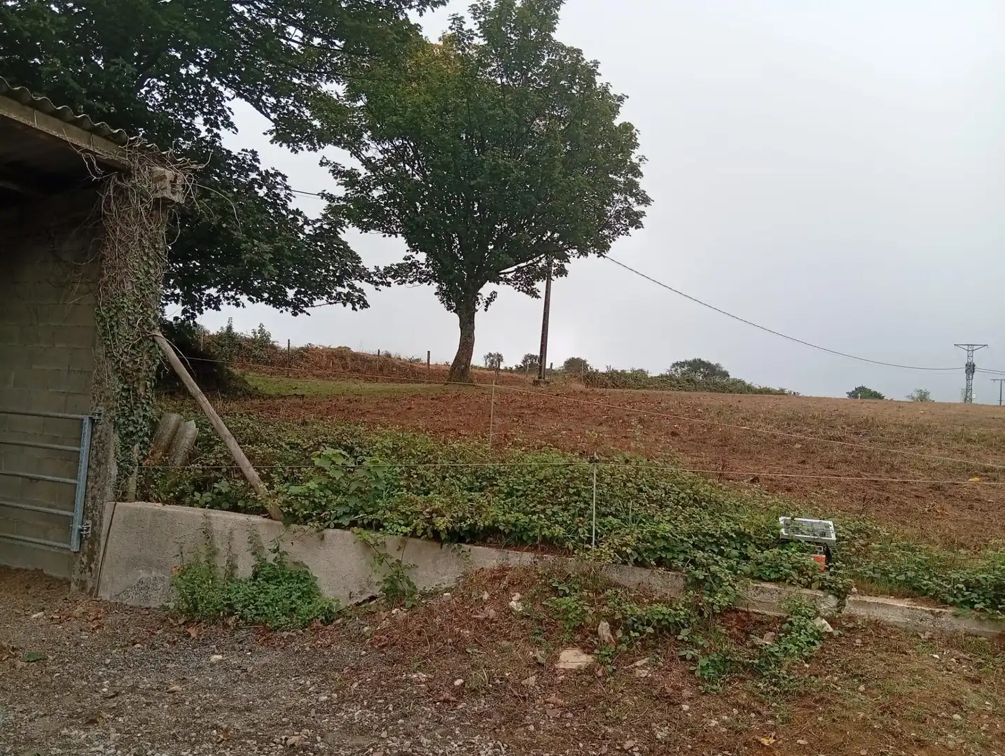 Country homes for sale in Abadín