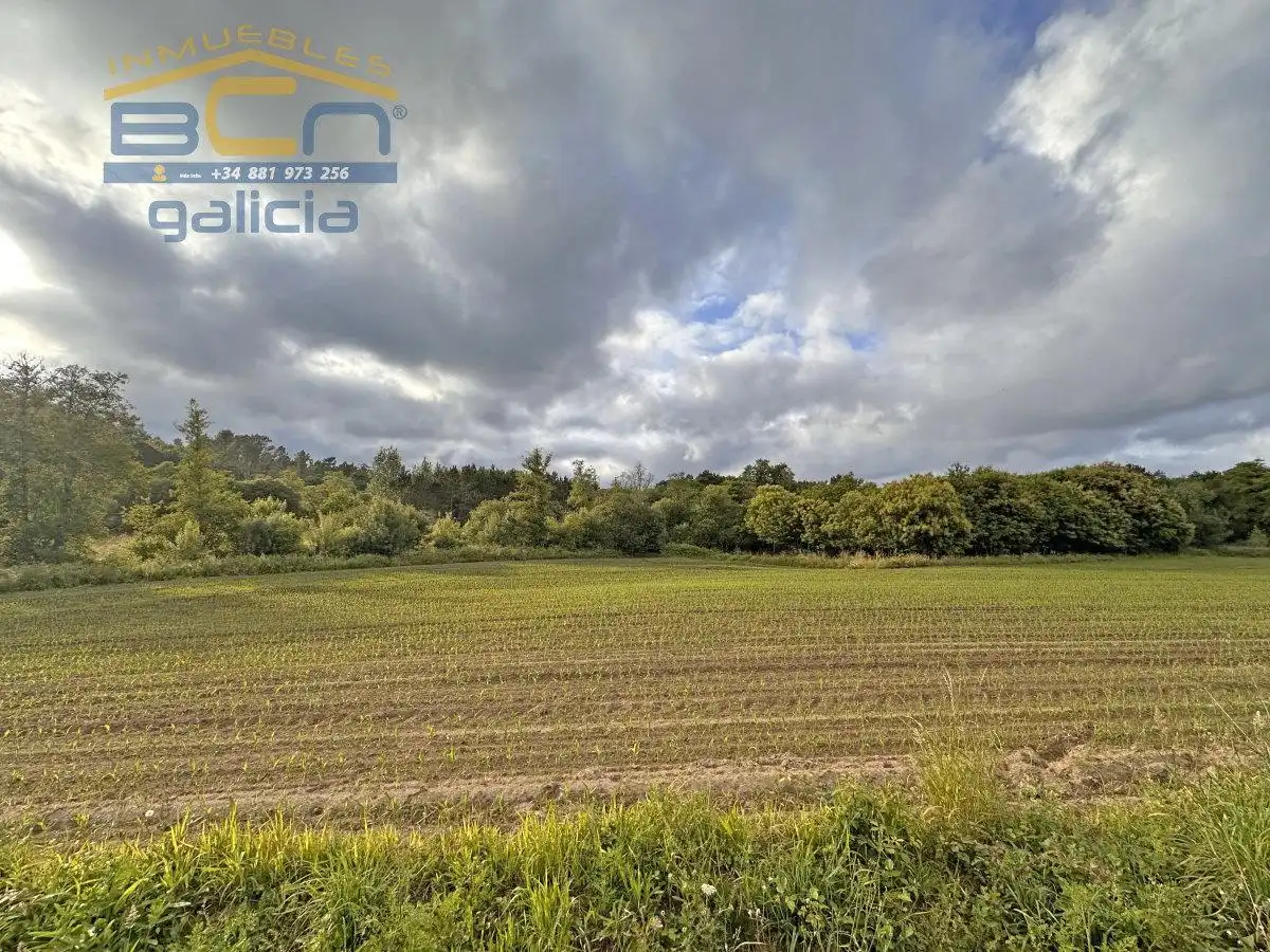 Terreny residencial en venda a Campos, imagen 2