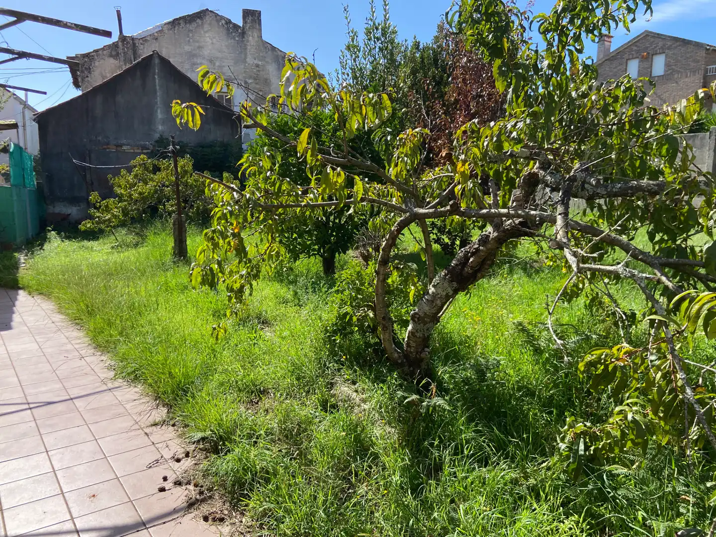 Casa con giardino in vendita a Rúa do Doutor Carracido, imagen 4