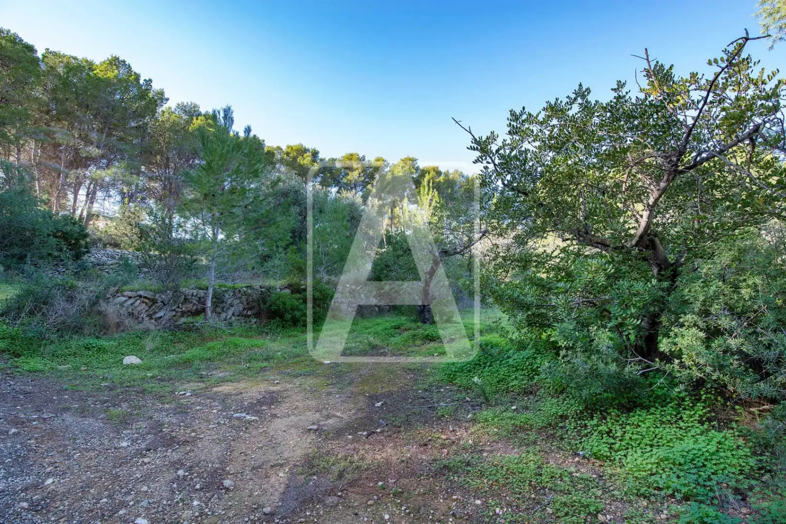 Villa avec piscine à vendre à Cala Advocat - Baladrar, imagen 12