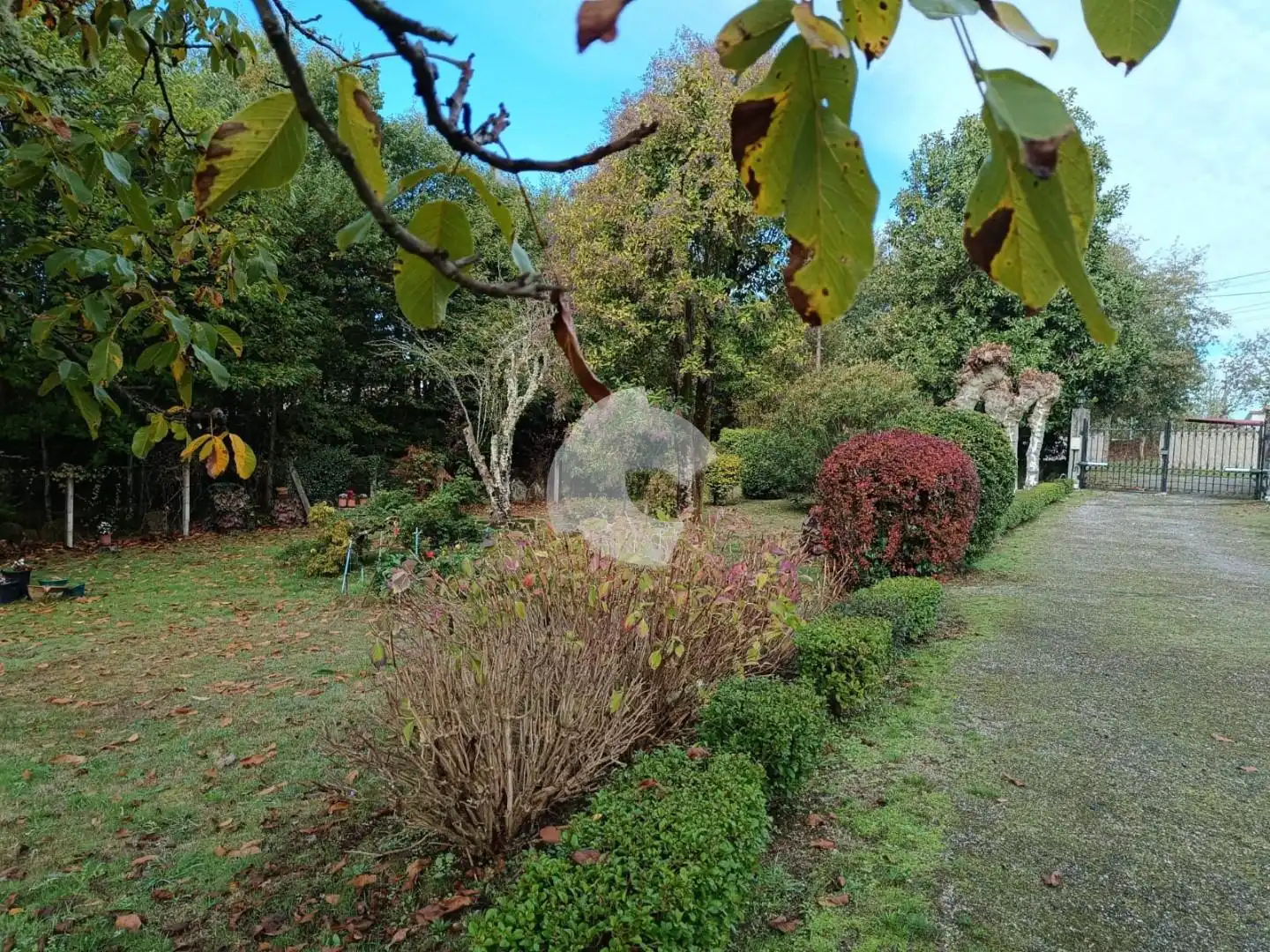 Houses for sale in Ourense Capital   with Private garden