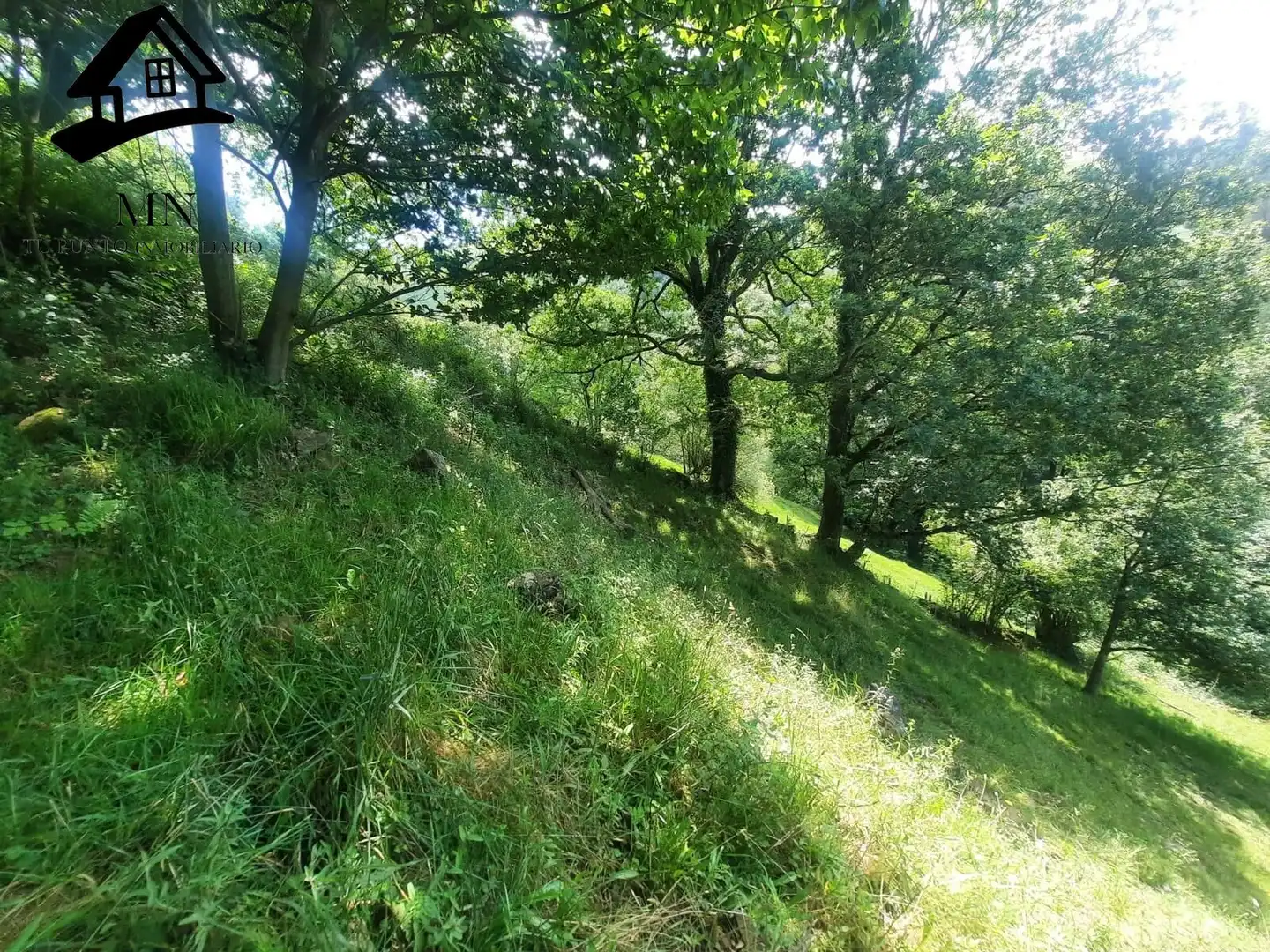 Country homes for sale in Selaya