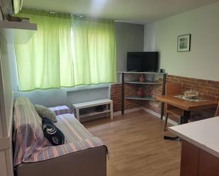Living room of Apartment to share in  Madrid Capital  with Air Conditioner and Terrace
