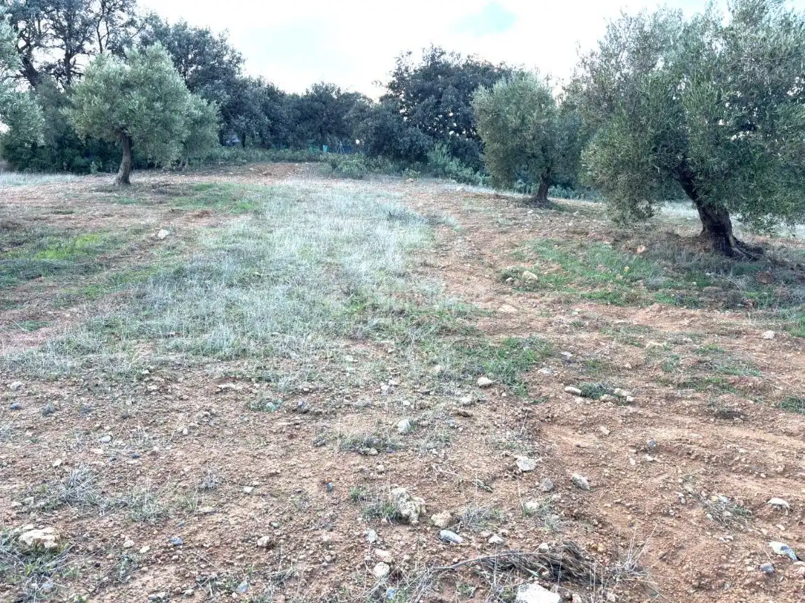 Terreni e lotti in vendita a Centro, imagen 16