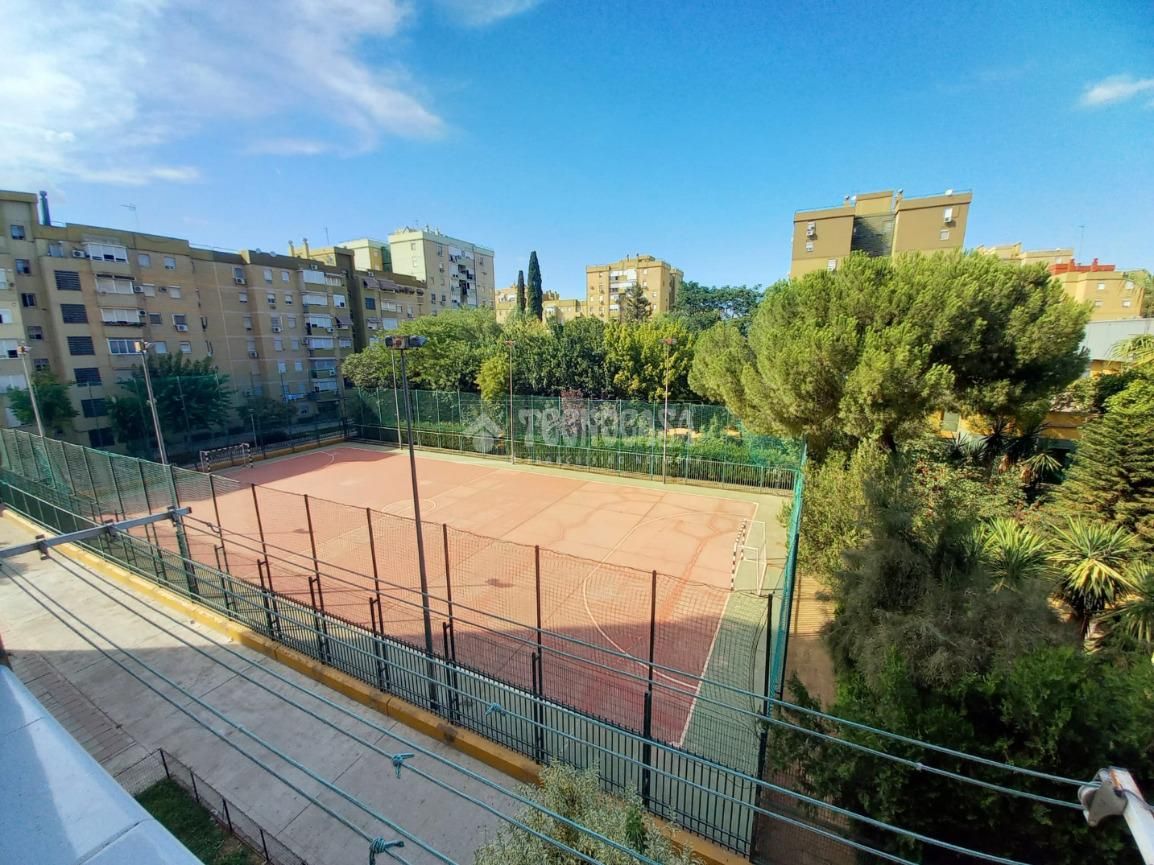 Flat to rent in Pino Montano - Consolación