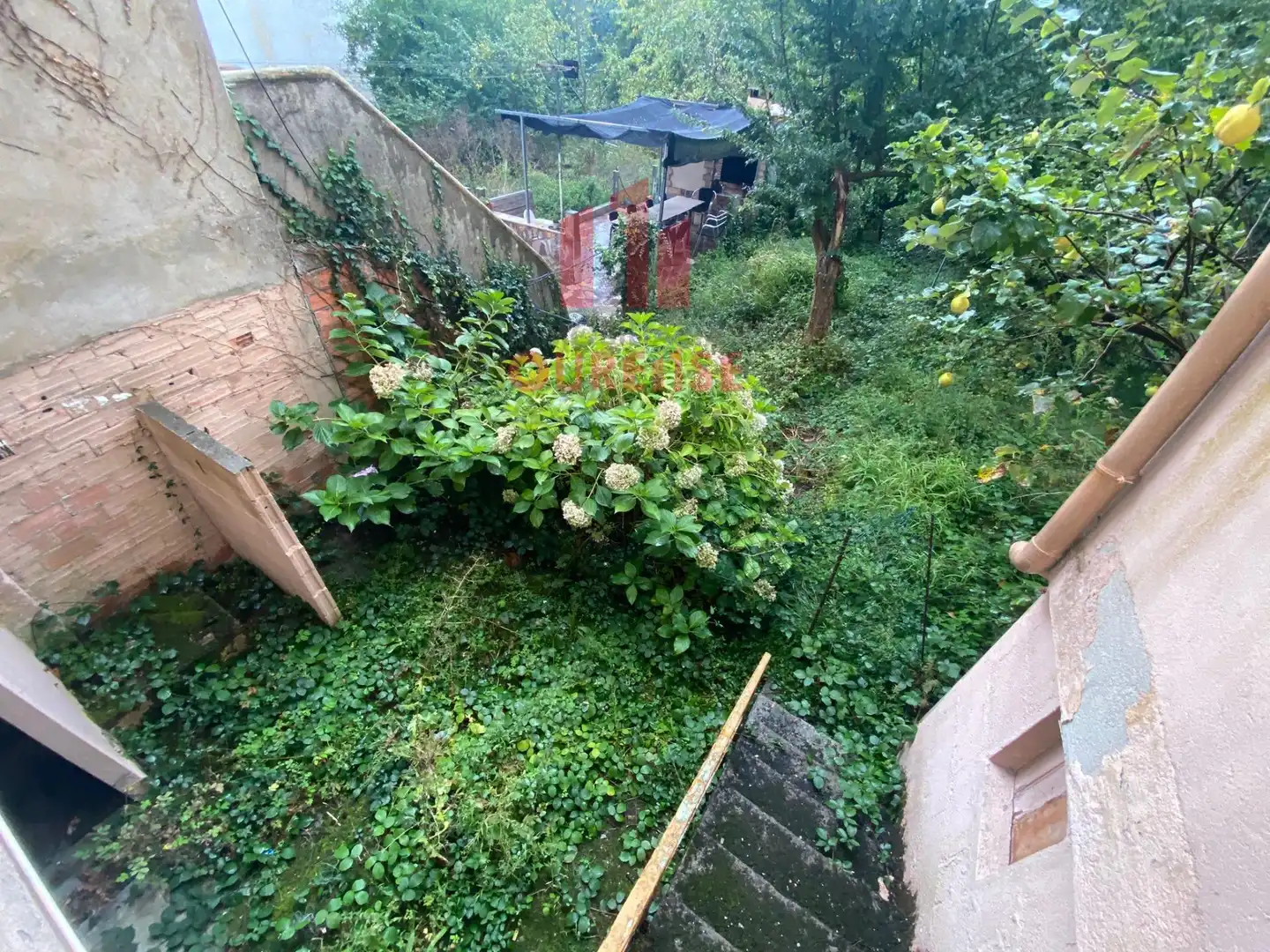 Maison avec terrasse à vendre à O Carballiño, imagen 9