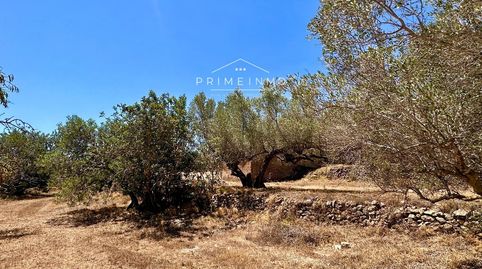 Foto 5 de Finca rústica en venda a Roques Daurades - L'Estany, L'Ametlla de Mar