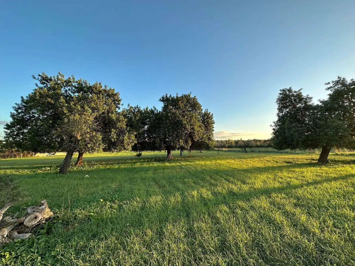 Terreno residenziale in vendita a Camino Selva, imagen 22