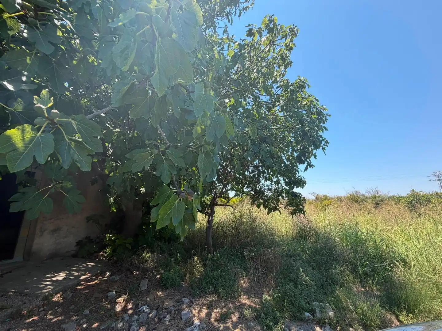 Terrain rustique à vendre à Oliva pueblo, imagen 8