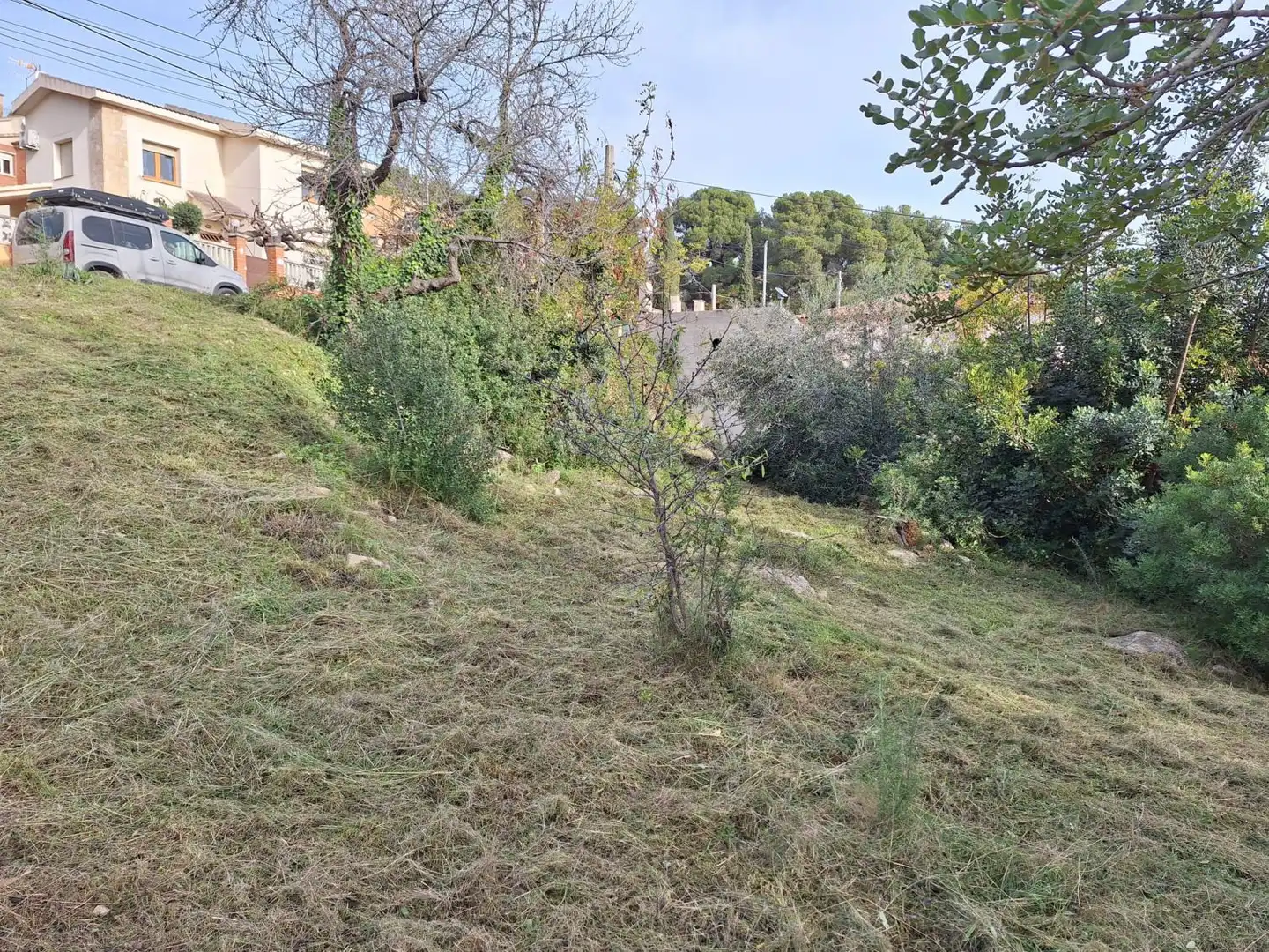Terrenos y solares en venta en Alcover, imagen 9