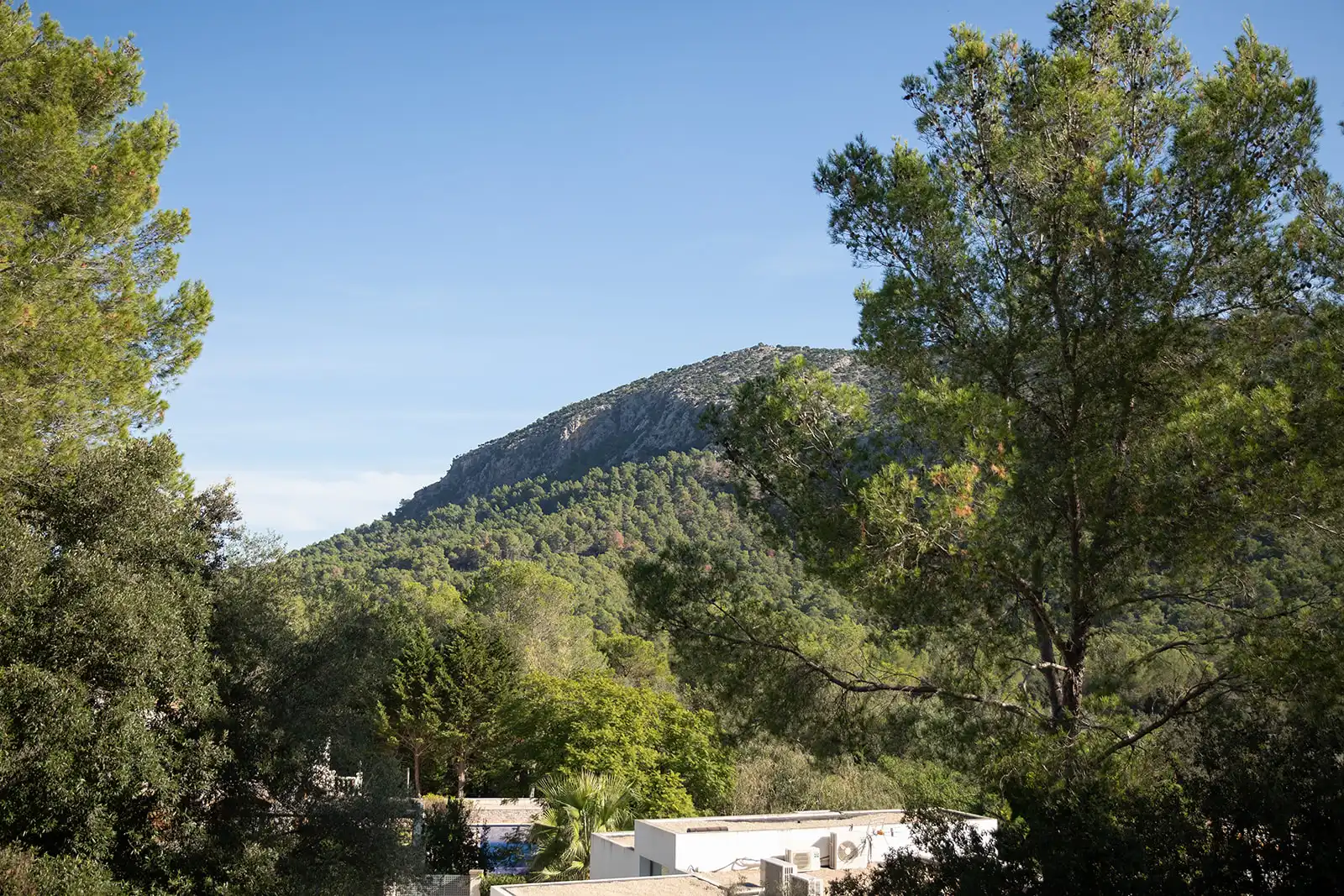 Vista exterior de Casa o chalet en venta en Pollença con Amueblado