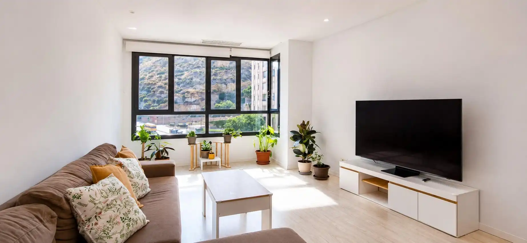 Living room of Flat for rent in Alicante / Alacant  with Air Conditioner, Heating and Storage room