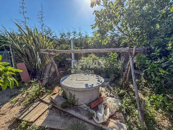 Maison avec terrasse à vendre à Avenida Paseo Portugal, imagen 43