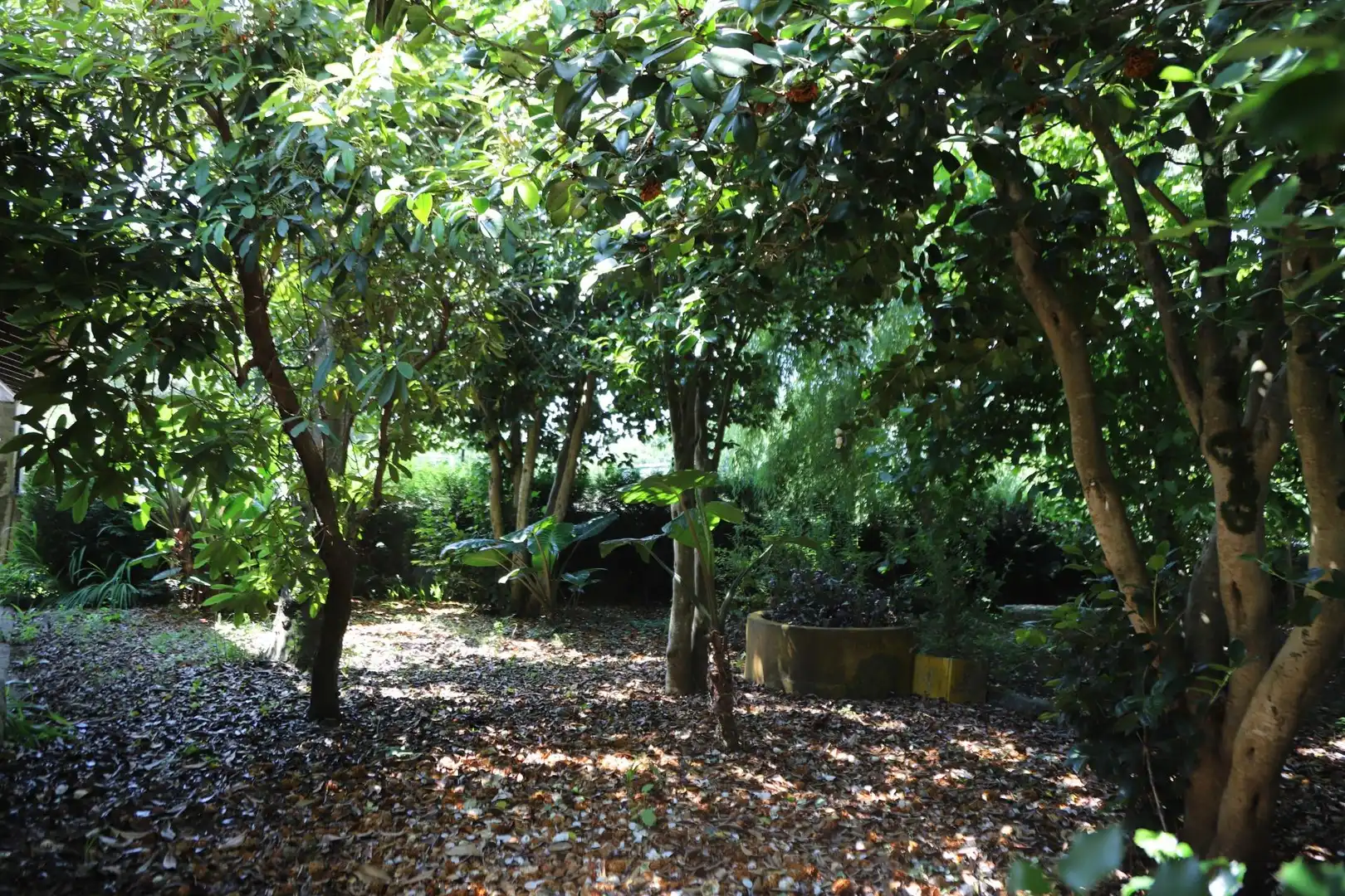 Jardín de Casa o chalet en venta en Portas con Jardín privado, Terraza y Trastero