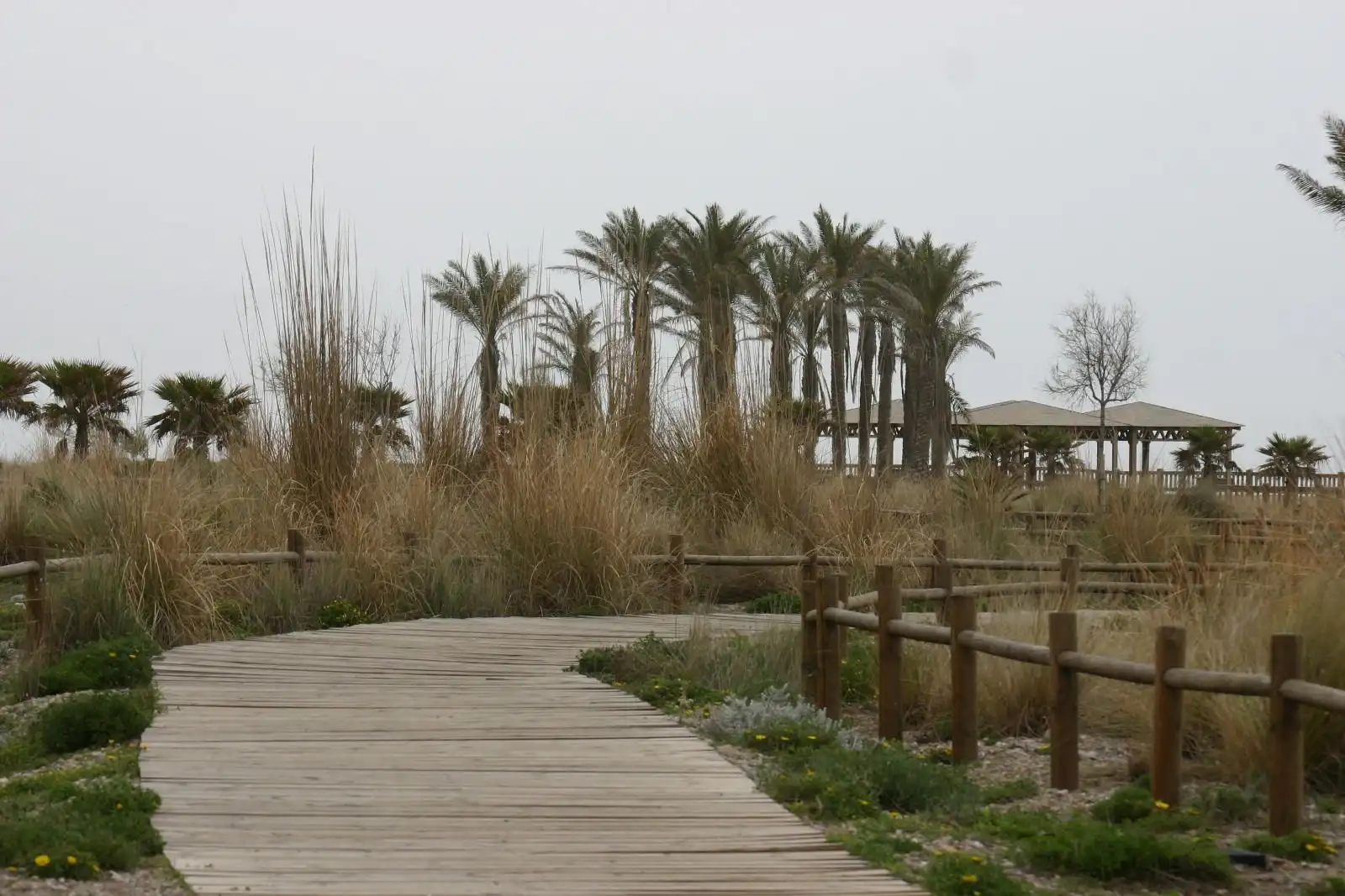 Jardín de Piso en venta en Almería con Trastero, Amueblado y Piscina comunitaria