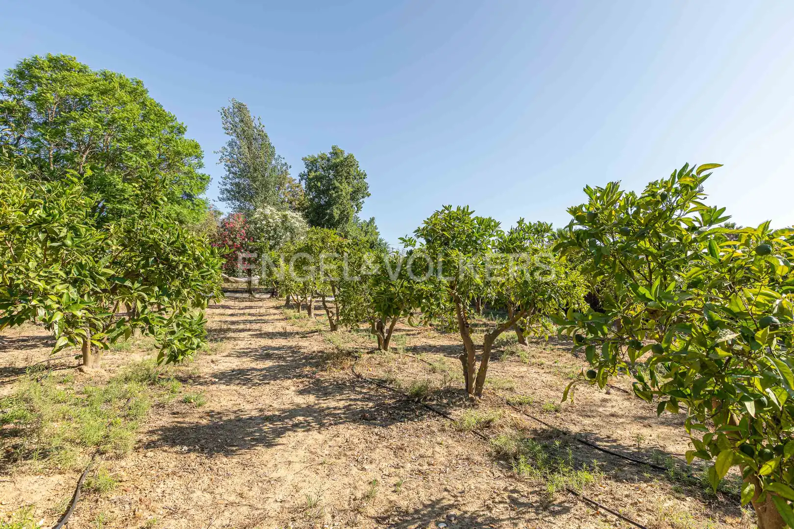 Finca rústica en venta en El Rompido con Aire acondicionado, Calefacción y Jardín privado