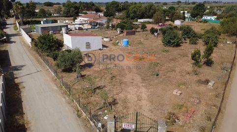 Foto 2 de Finca rústica en venta en Los Granadillos, Pedanías Norte, Utrera