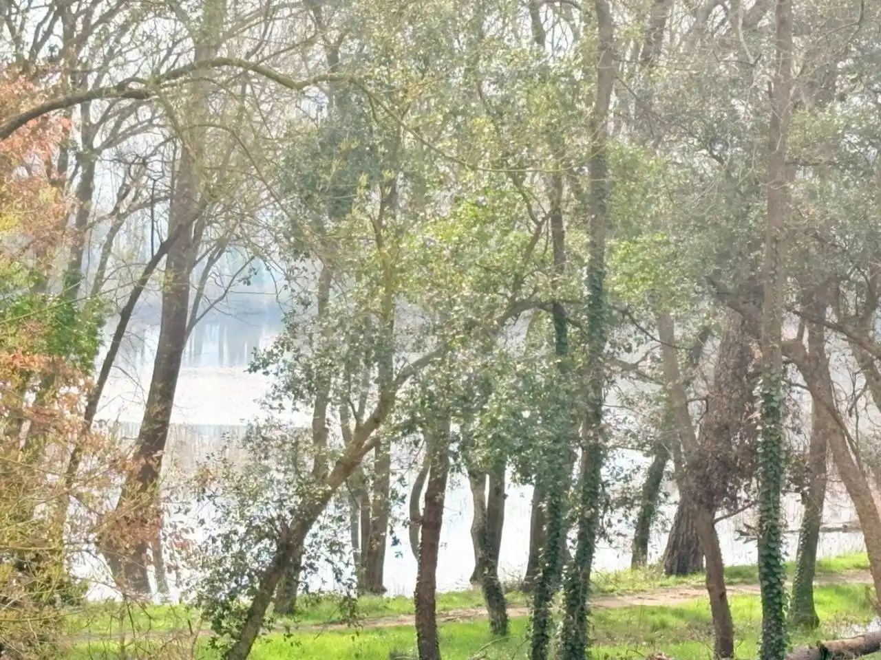Garden of Residential for sale in Caldes de Malavella
