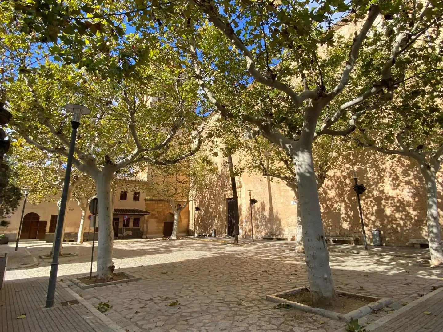 Exterior view of Houses for sale in Sa Pobla
