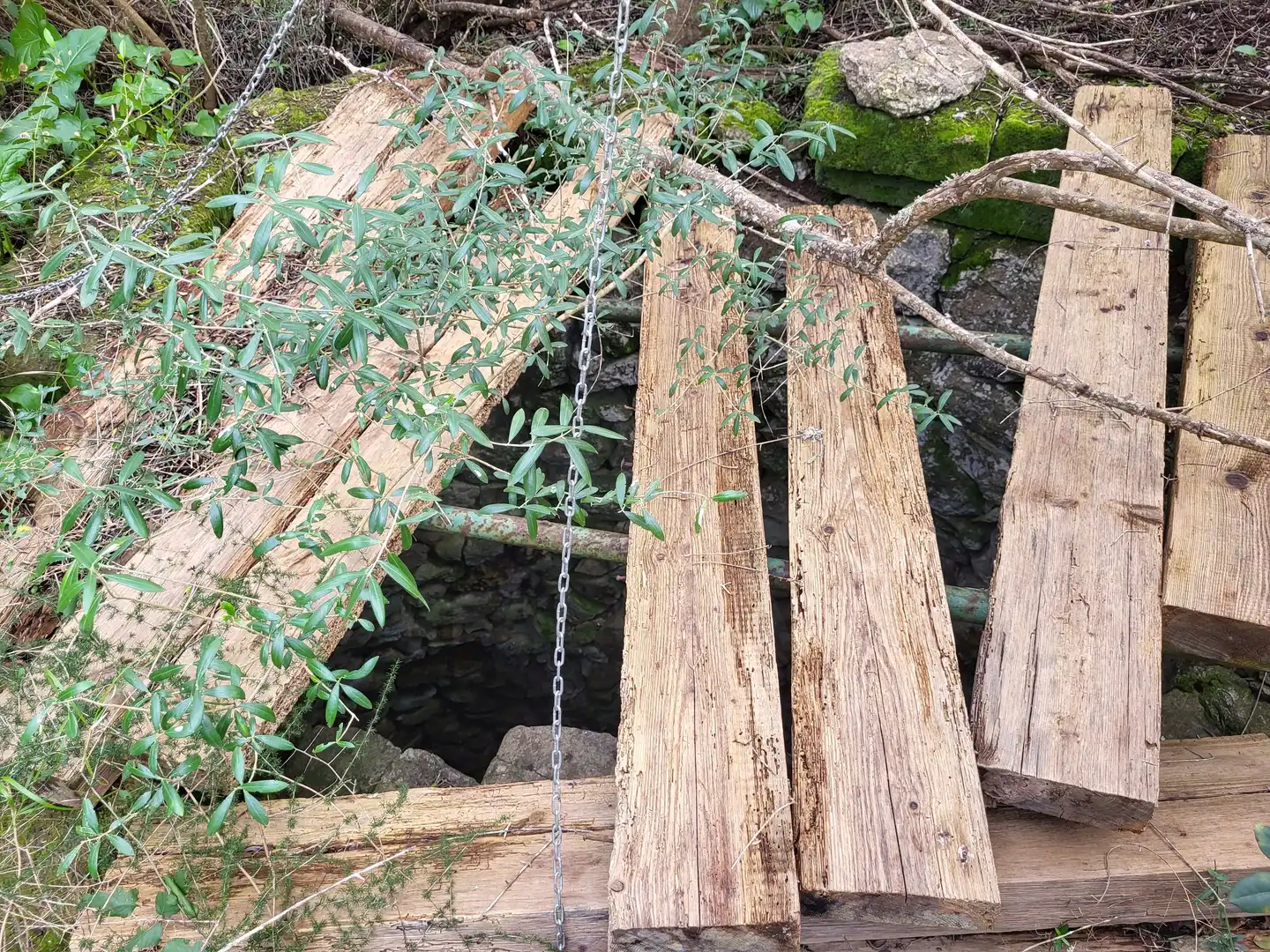 Terreni e lotti in vendita a Sant Joan, imagen 14