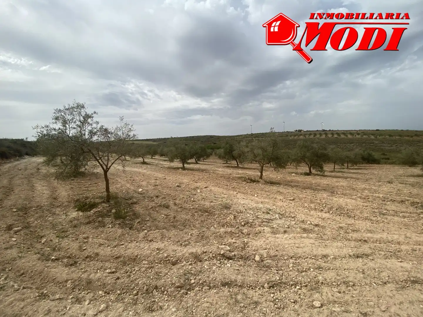 Terrenys i solars en venda a Padul, imagen 9