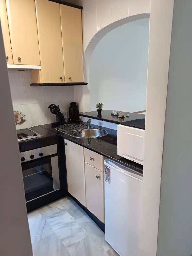 Kitchen of Apartments for rent in Mijas  with Terrace