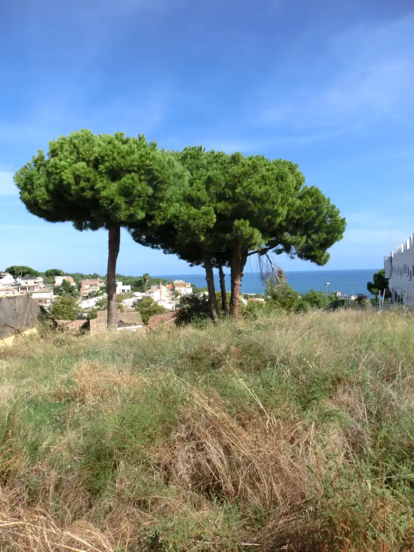 Residencial en venta en Canet de Mar
