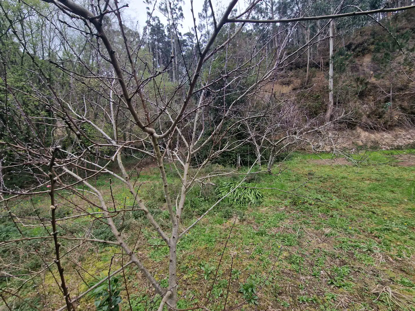 Casa con jardín en venta en Camiño da Cruz do Pouso, imagen 15