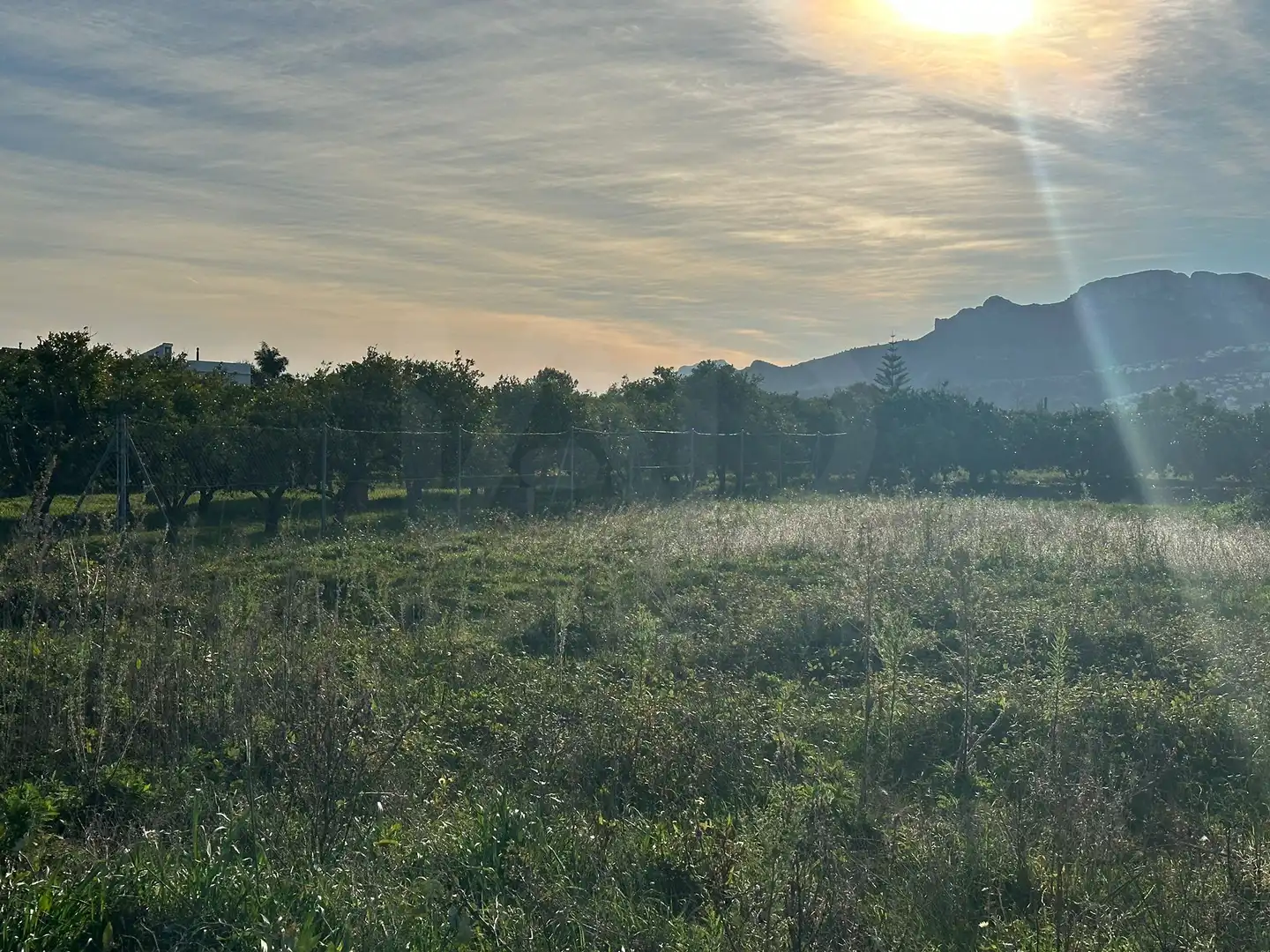 Lands and plots for sale in Pego, imagen 12