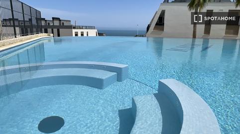 Photo 3 of Apartment to share in Monte y Mar, Alicante