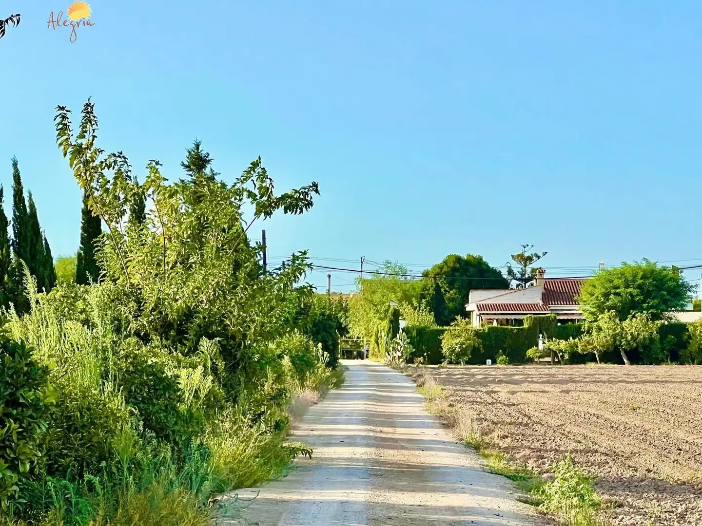 Vista exterior de Casa o xalet en venda en Daya Vieja amb Aire condicionat, Calefacció i Jardí privat