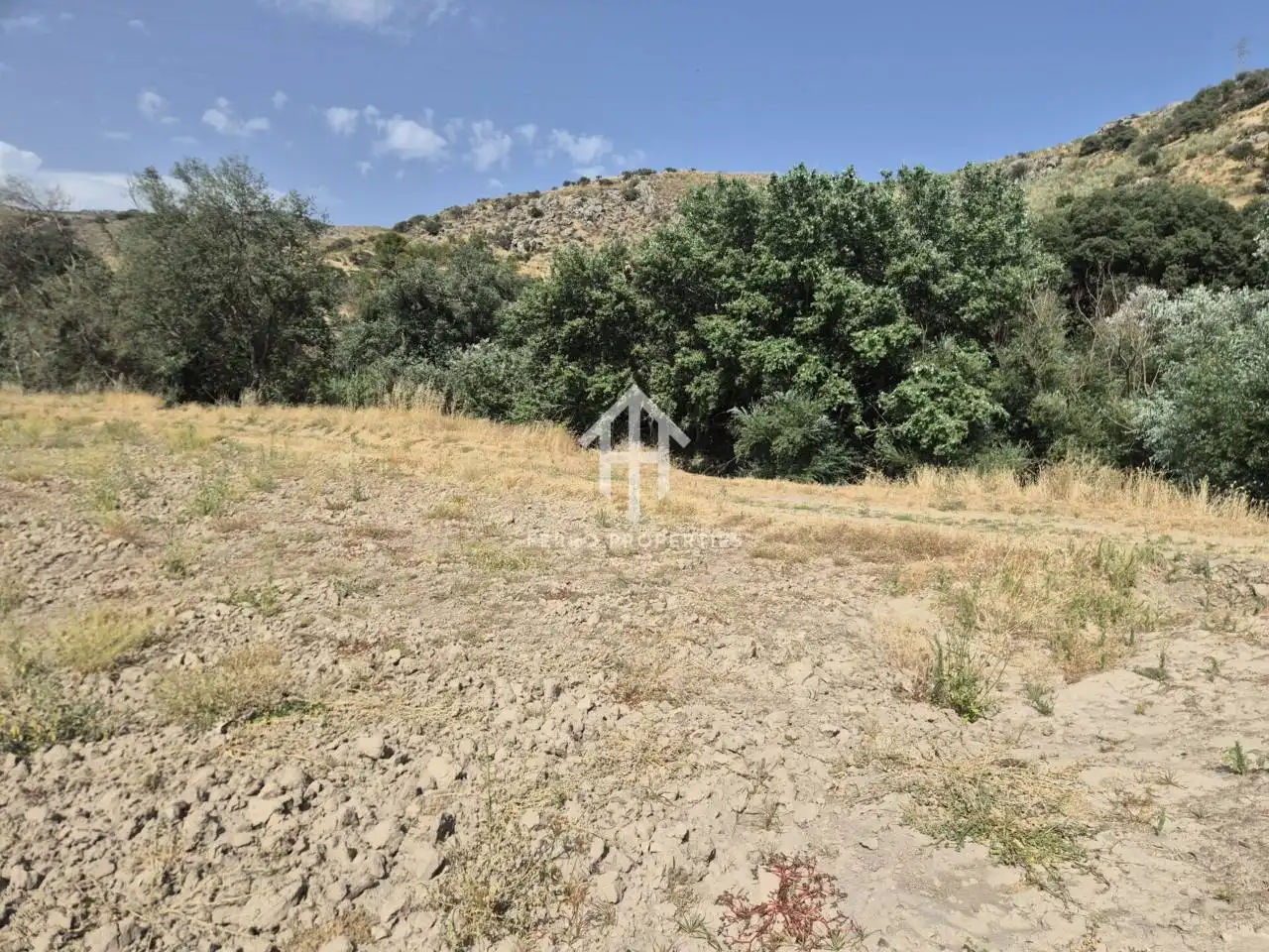 Terrain rustique à vendre à Loja, imagen 3