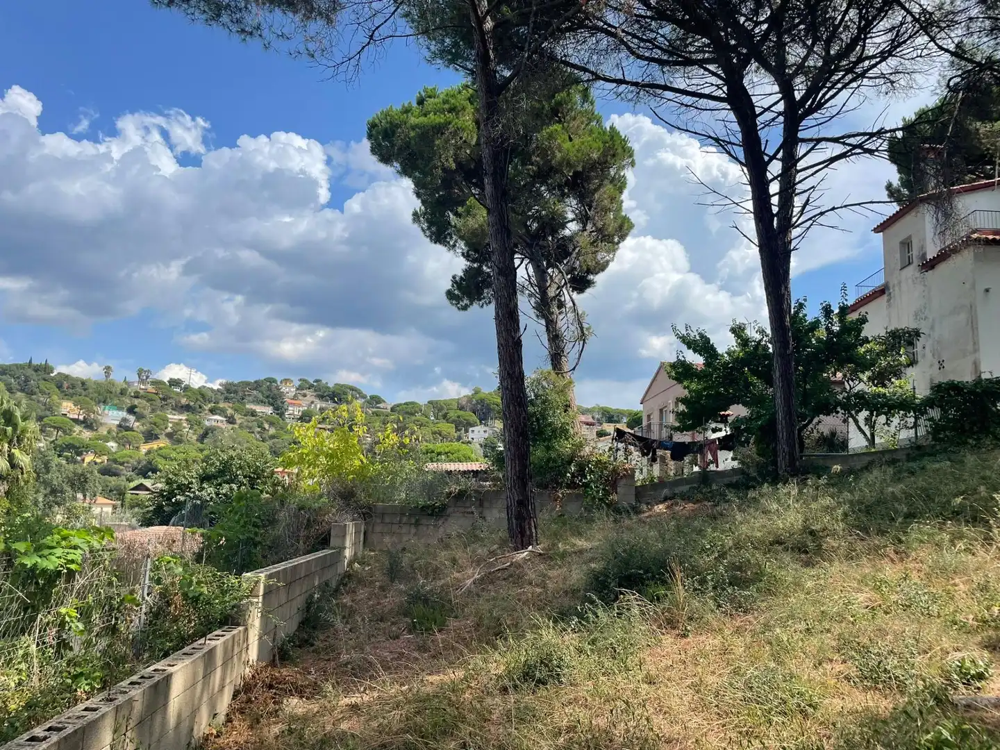 Terreno residencial en venta en Mas Mora - Sant Daniel, imagen 5