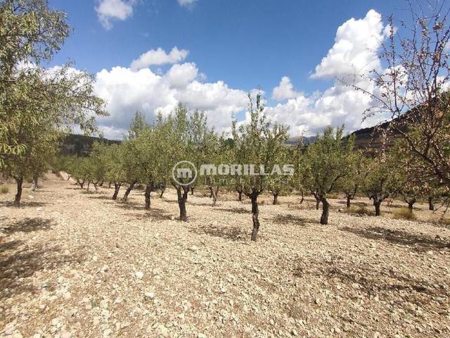 Terreno en Venta en Lugar Polígono 20 Parcela 164 MOLINO 1. PUEBLA DE , 20 en Puebla de Don Fadrique