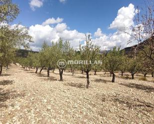 Residencial en venda en Puebla de Don Fadrique