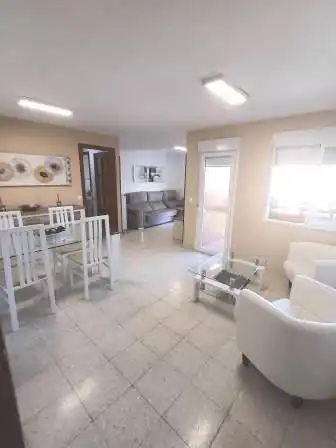 Living room of Flat for rent in Poniente-Sur