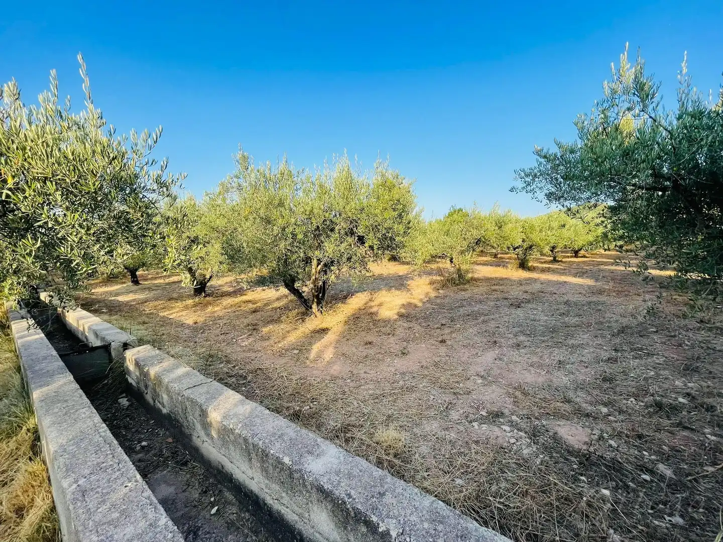 Chalet con terraza en venta en Cehegín, imagen 18