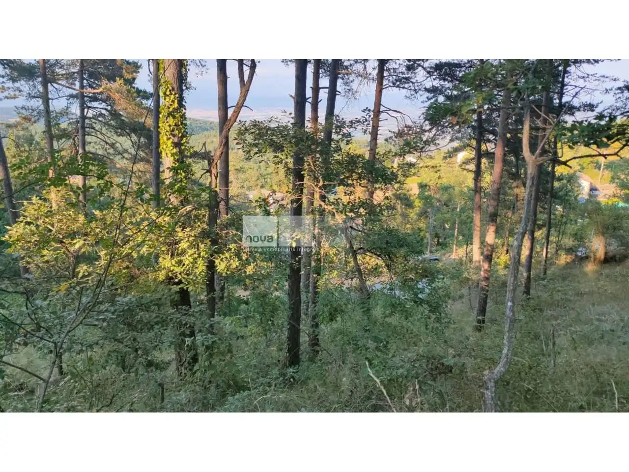 Wohnbaugrundstück zum Verkauf in Muntanyola, imagen 13