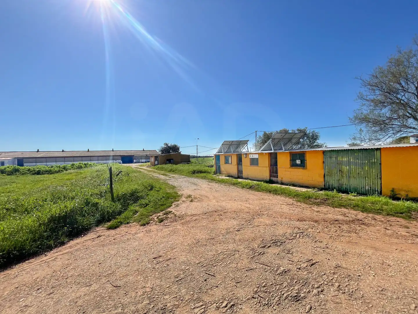 Vista exterior de Casa o chalet en venta en Beas con Calefacción y Terraza