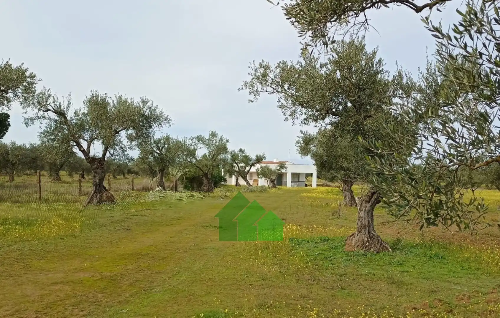 Chalet en venta en Montijo