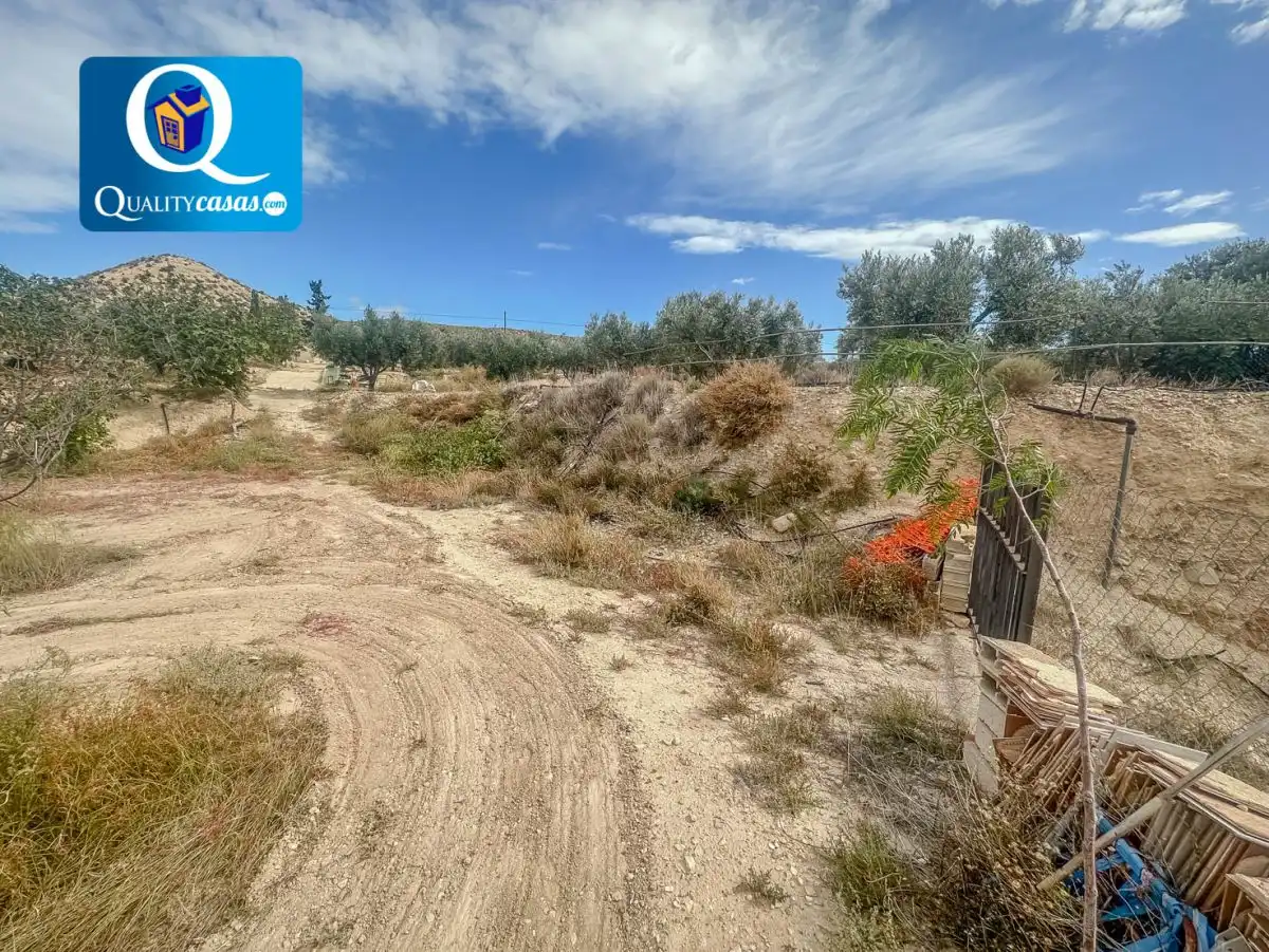 Lands and plots for sale in Partidas de Alicante, imagen 11