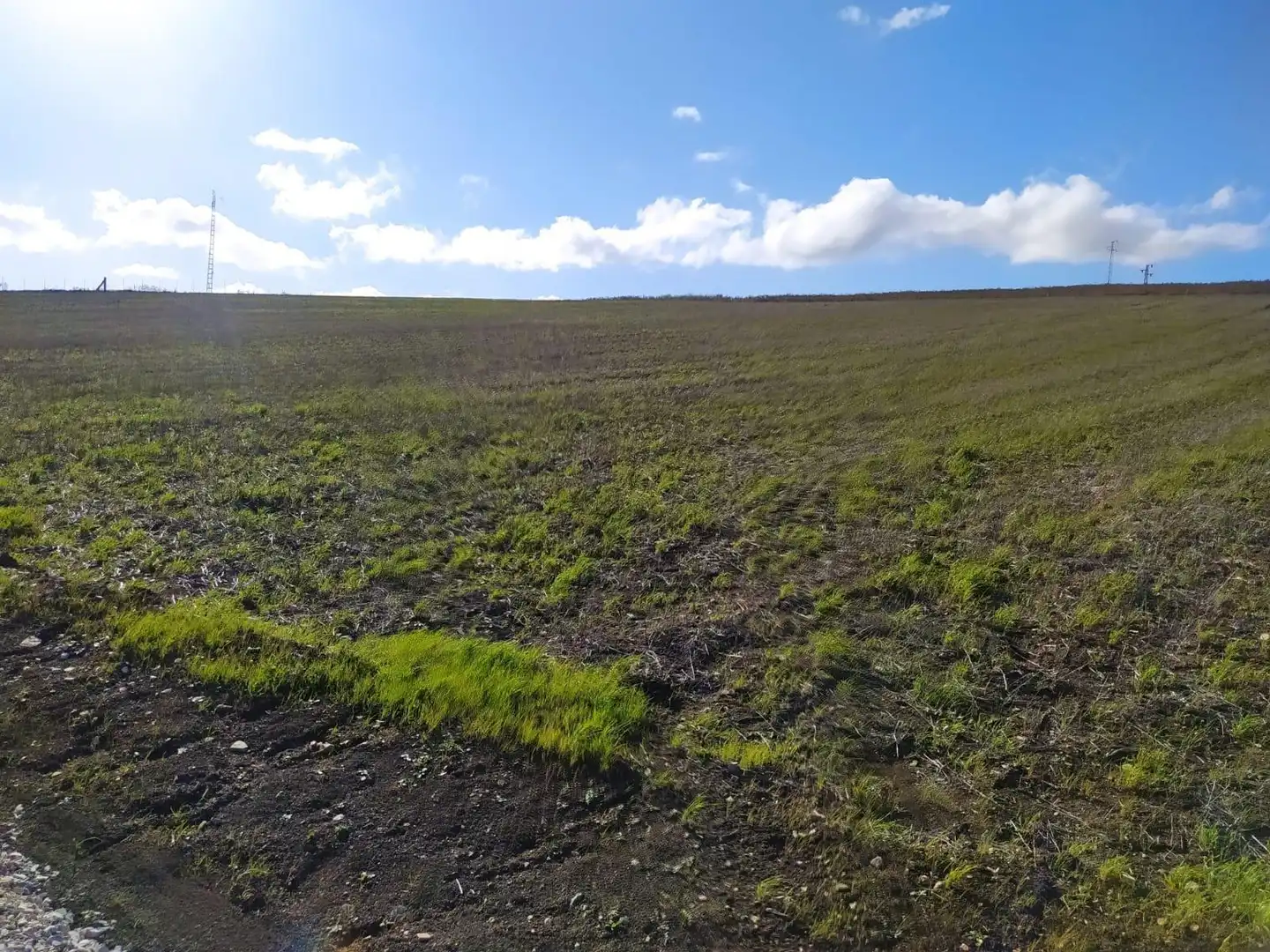 Terreny rústic en venda a Medina Sidonia, imagen 7