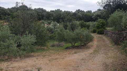 Foto 3 von Residential zum Verkauf in Partida Partida Coll, Masdenverge, Tarragona