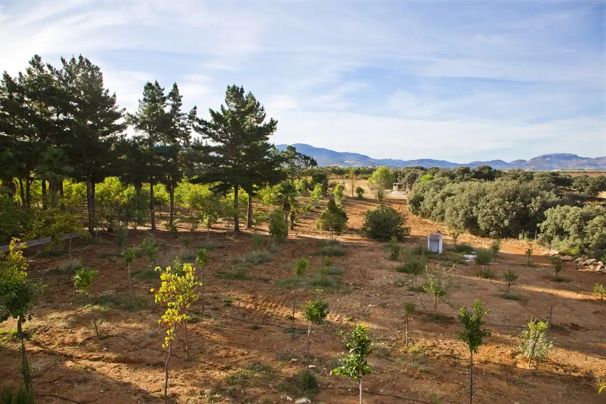 Finca rústica en venta en Ronda con Jardín privado, Terraza y Piscina