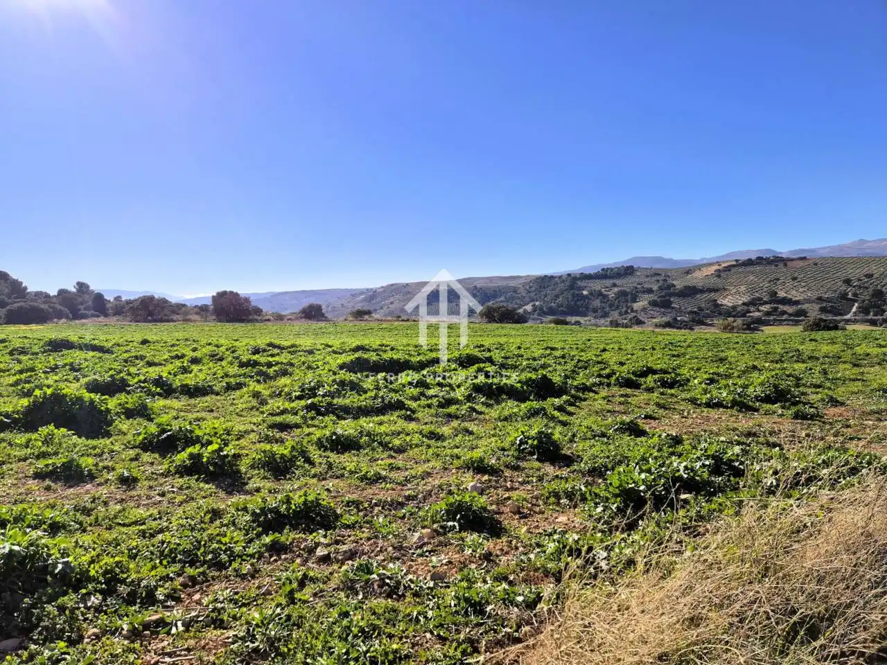 Terreni e lotti in vendita a Alhama de Granada, imagen 17