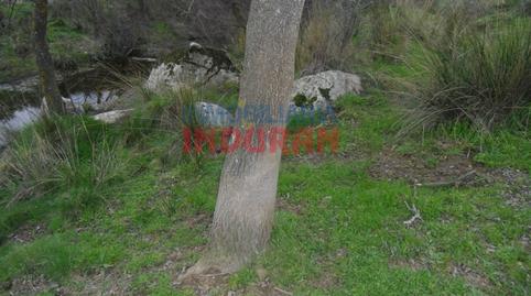 Photo 3 of House or chalet for sale in Villar del Pedroso, Cáceres