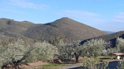 Cortijo rústico con pozo propio, 300 olivos y proyecto de reforma en Alboloduy, immagine 5