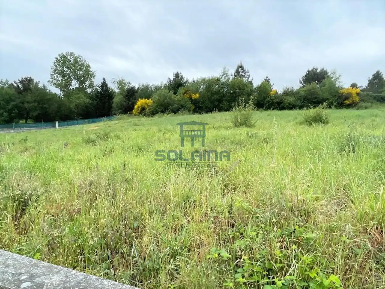 Terreni e lotti in vendita a Vilamarín, imagen 4